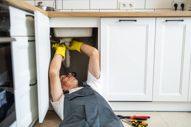 Best Clogged Drain Plumber  in Grant, MN