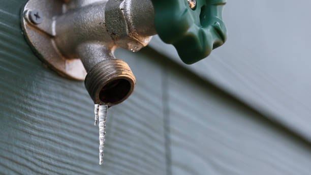 Best Emergency Plumbing Repair  in Grant, MN